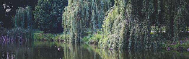 Tartu Ravila tänava kaseallee jääb alles