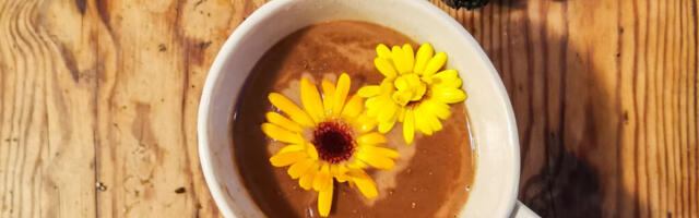 Ravimtaimede kuningas must pässik korja kase otsast ja lisa toidule