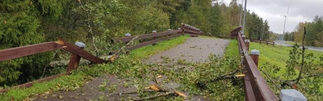 TORM MÖLLAB | Laevaliiklus katkes taas, elektrita on 1000 majapidamist