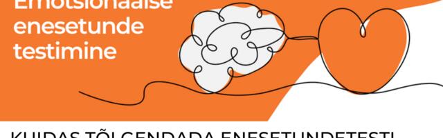 Tasuta emotsionaalse enesetunde test aitab hinnata töötajate vaimset heaolu