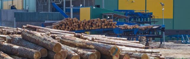 Eesti maksutulust 11% ehk 3,6 miljardit eurot tuleb metsa- ja puidusektorist