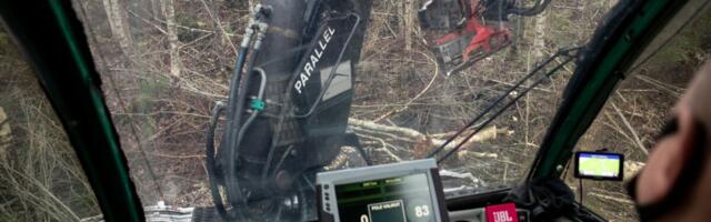 Metsatööstuse kvartaliraport: sektori käivet kasvatavad vaid üksikud suured ettevõtted