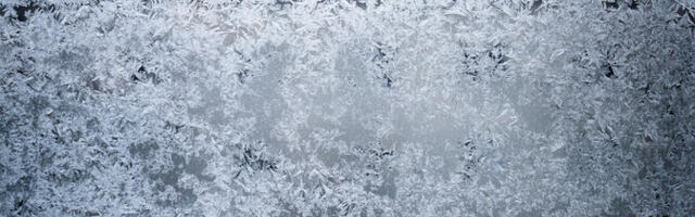 Krõbe külm aitab võidelda koide ja teiste kahjuritega