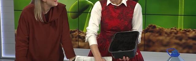 Entusiastlik talikülvaja: lihtsad nipid aitavad edukat talikülvi teha