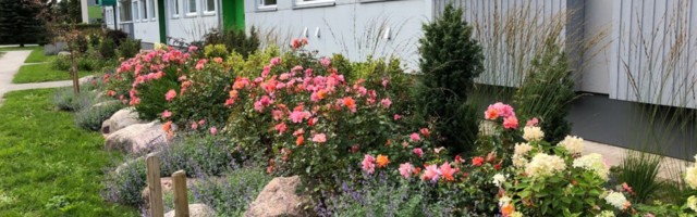 Korteriühistuid oodatakse konkursil kandideerima