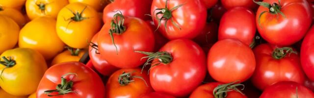 TURUHINNAD | Eesti tomati hind on oluliselt tõusnud