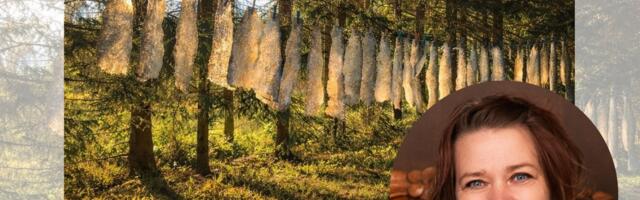 Birgit Tuulemetsa isikunäitus „Läbi loomingu oma juurteni“ Valga Keskraamatukogus