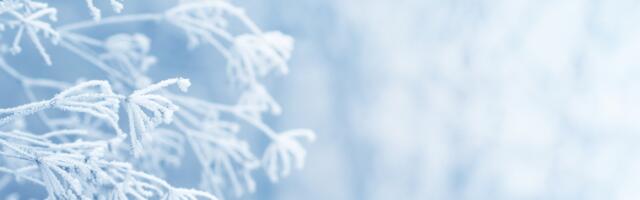 Päevahoroskoop : neljapäev, 29. jaanuar