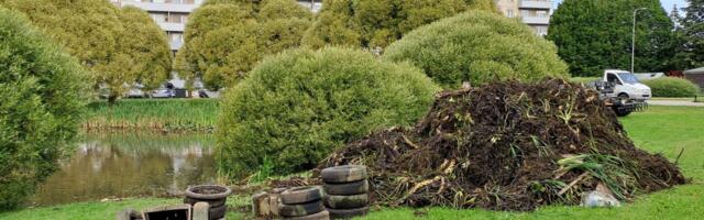 Saare tiik saab puhtamaks