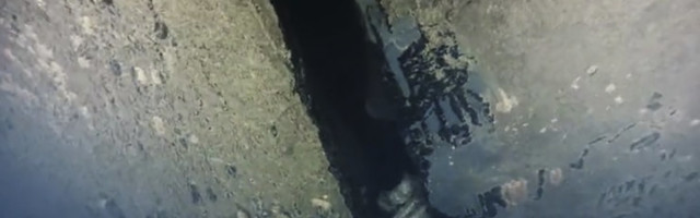 Soome ajakirjanik nägi videot ja kajastas auku Estonia küljes juba 1997. aastal. Ka Saksa meedias räägiti sellest tema sõnul toona põhjalikult