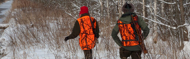 RMK loobub ajaloolise Väätsa jahipiirkonna haldamisest