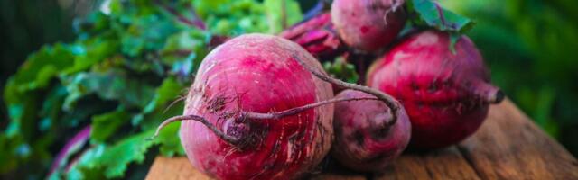 Meelespea aednikule: kuidas tunda ära kvaliteetne köögiviljaseeme?