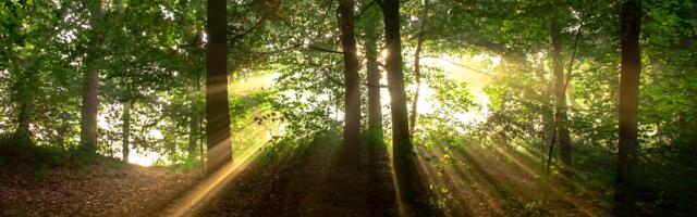 Keskkonnaagentuur: September oli pikaajalisest keskmisest soojem, kuivem ja päikesepaistelisem