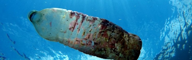 VIDEO | „Maske rohkem kui meduuse”: koroonareostus tungib maailmamerre