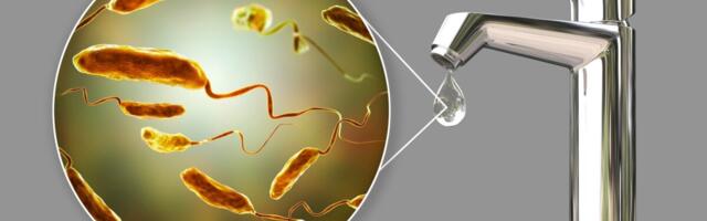 Ühe pere kaks last ootavad kooleraanalüüsi tulemust