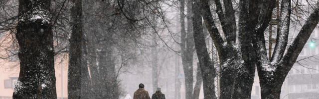 Reedel võib esineda pinnatuisku