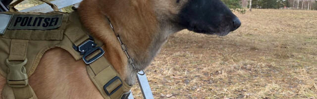 Politseikoer Rikky leidis eksinud memme