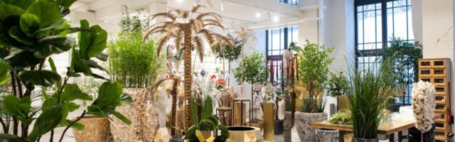 ShiShi tegi aegade parima tulemuse