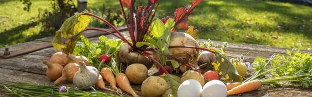 Piret Hartman: kohalik toit ei muutu soodsamaks, kui seda ei osteta