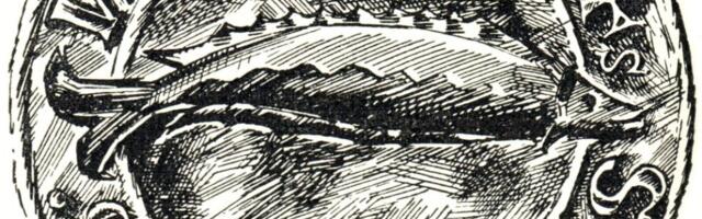 Судопроизводство в Нарве