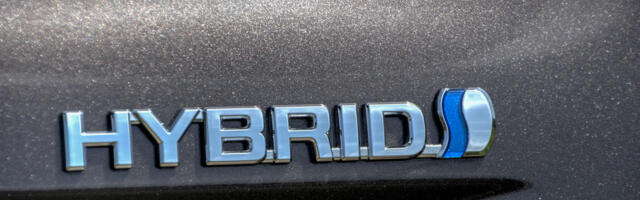 Kellele sobib kerg-, kellele pistikhübriid?