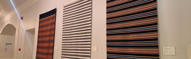 Ülikooli peahoone fuajees avati näitus „Sitikal siledad tiivad IV“