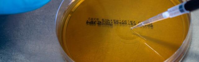 Rumeenia koopast leitud bakterid osutusid resistentseks 10 antibiootikumi suhtes