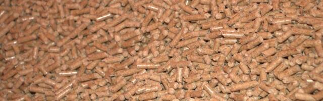 Venemaa pelletitööstus ootab hävingut