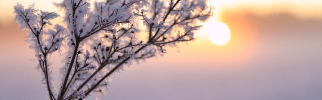 Valga Vallavalitsus ootab kandidaate auhinnale "Valga valla aastaring"