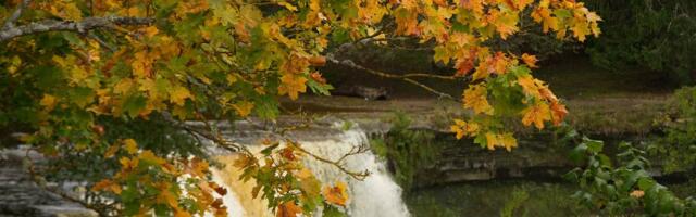 ILMAPROGNOOS | Kuivemad päevad toovad kaasa ka jaheduse sissetungi