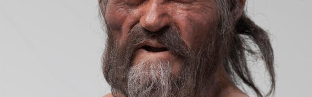 Papilloomviirus kimbutas juba jäämees Ötzit