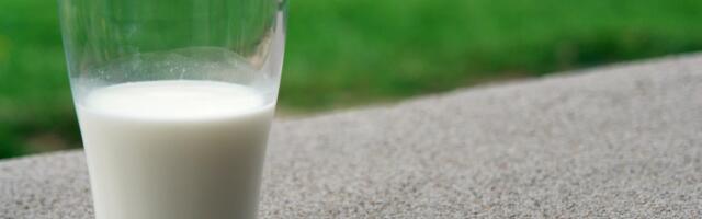 Maaelukomisjon arutas E-Piim Tootmise ASi pankrotiavalduse mõju Eesti piimandusele