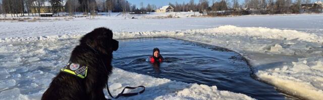 Vetelpäästekoera juht: meie südameasi on veeohutus ja elanikkonna kaitse, riik võiks seda toetada