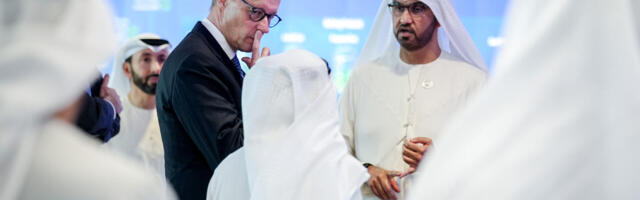 HALE ROHEKÄKK: kolinaga tuuleämbrist gaasiämbrisse