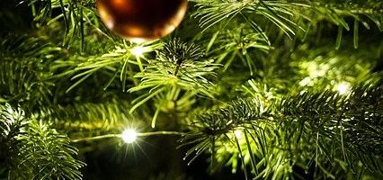 Maagiline jõulukuusk toas. Kuusk on ikka omanud kaitsvat võimet. Seda tänu tema igirohelistele „nõeltele“, okkalisusele ja vaigulõhnale.