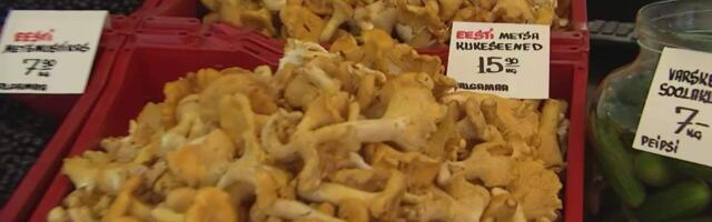 Kukeseeni enam kullahinnaga ei müüda