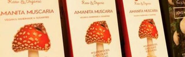 PTA hoiatab: Facebookis müüakse punast kärbseseent sisaldavat šokolaadi