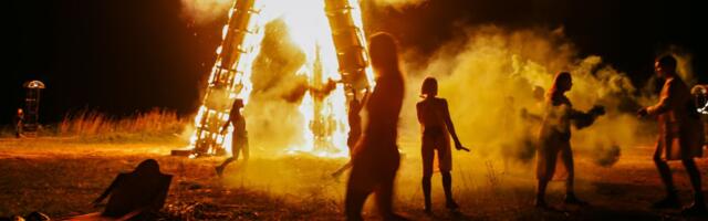 Non Grata hiiglaslik Tulnukate Invasiooni installatsioon I Land Sound elamusfestivalil