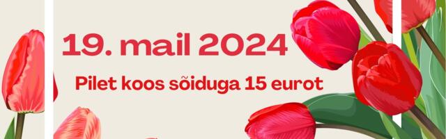 Sõidame Kirna mõisa tulbifestivalile!