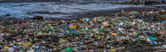 Tulevikuplast: teadlased saaks otsustada, kas plast laguneb päeva, nädala või kuu pärast