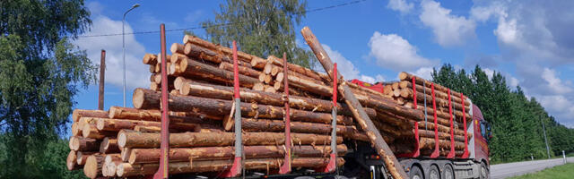 PILDID: Mulgi vallas lagunes avarii tagajärjel palgikoorem