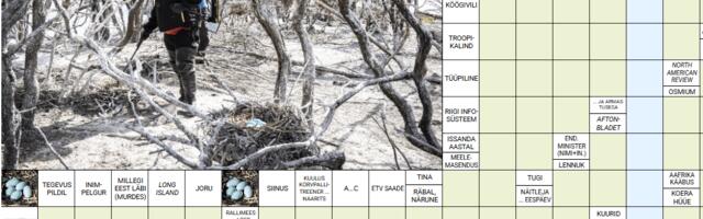 RISTSÕNA | 24.07.2025 (32)