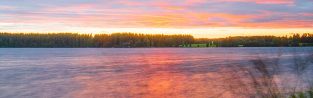 Augustikuu horoskoop