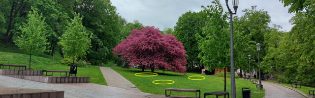 Pirogovi park saab piknikukohad