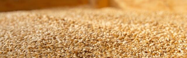 Riigikontroll: toiduvaru eesmärk vajab selgust ja süsteem harjutamist