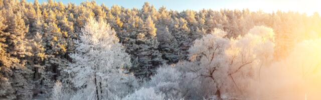 Päevahoroskoop : neljapäev, 19. veebruar