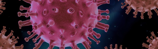 Avalik kiri: seisukoht viiruse isoleerimise kohta