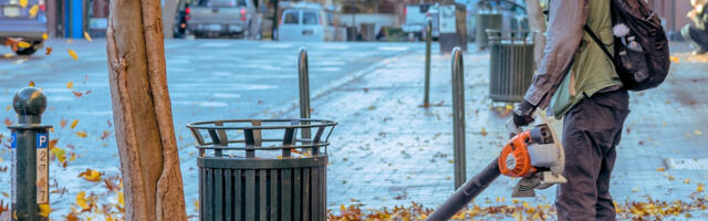 Mida peaksid teadma lehepuhuri eelistest ja õige mudeli valikust?