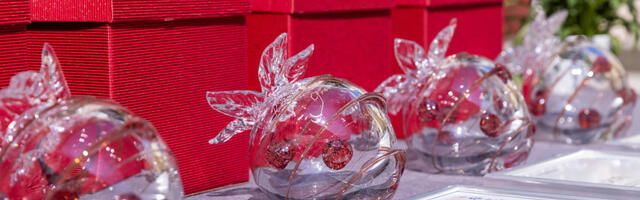 Regionaal- ja Põllumajandusministeerium ootab kandidaate Regionaalmaasika konkursile