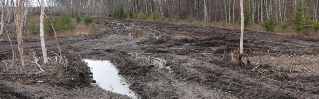 Amet algatas lagastatud kaitsealal süüteomenetlused